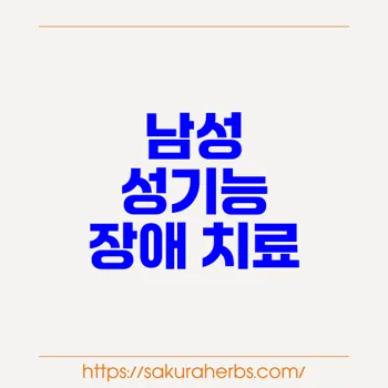 슈퍼 발디트라: 남성 성기능 장애 치료의 혁신적 접근