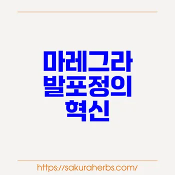 마레그라 발포정: 발기부전 치료의 혁신적 해결책