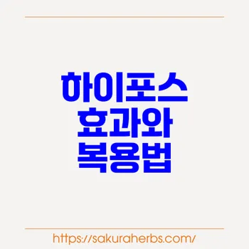 하이포스 사용 가이드: 효과, 복용법 및 주의사항 상세 분석