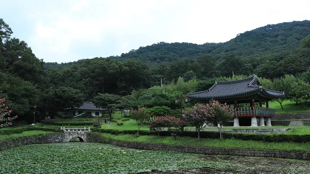 이지큐어 아지로맥스정의 효능 및 주의사항