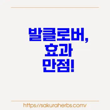 입술포진 치료 발라시클로버 Valacyclovir 발클로버  후기 사쿠라허브에서 직구