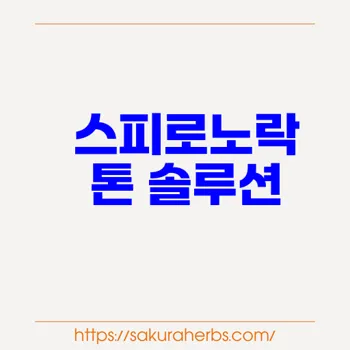 탈모 치료 필수 스피로노락톤 spironolactone 알닥톤 후기 사쿠라허브에서 직구